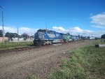 RUMO 9871